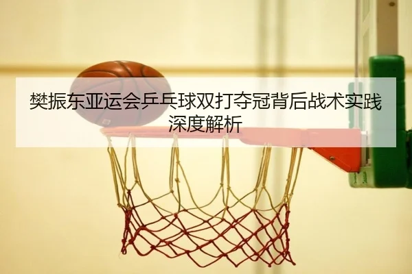 樊振东亚运会乒乓球双打夺冠背后战术实践深度解析